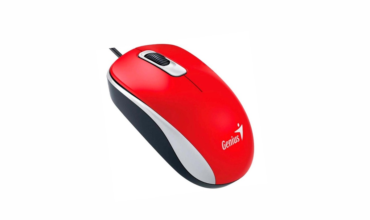MOUSE