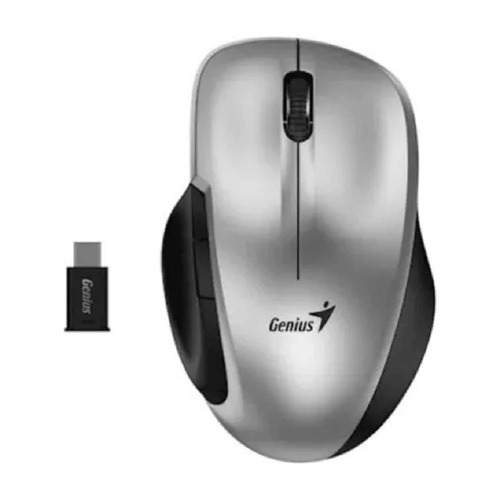 MOUSE